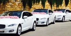 hire luxury and imported car hire for group events tour in delhi